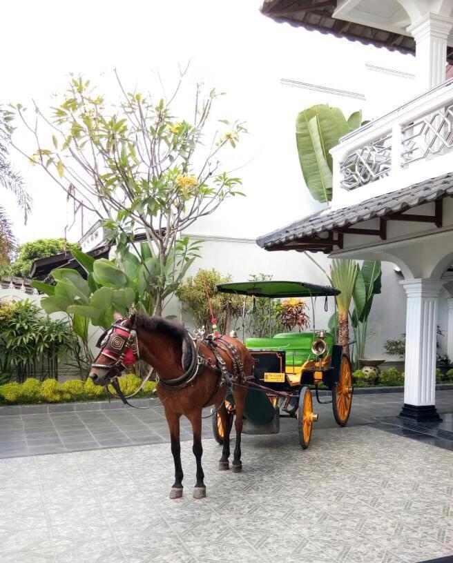 Raintree Boutique Villa & Gallery Yogyakarta Bagian luar foto